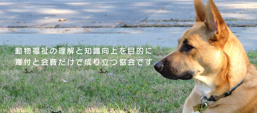 公益社団法人日本動物福祉協会