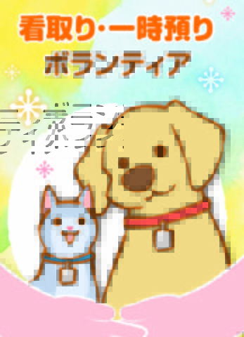 犬 猫の一時預かりボランティアさん募集 公益社団法人日本動物福祉協会